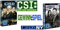 CSI - Staffel 13 / CSI:NY - Staffel 9