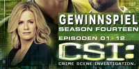 CSI - Staffel 14.1