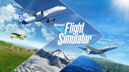 flight_simulator