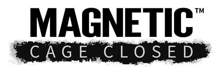 magnetic_logo