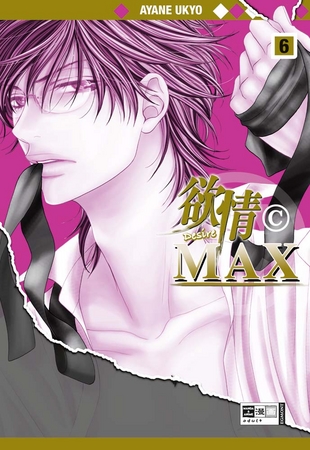 Desire (c) MAX 6 - Das Cover