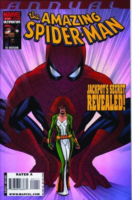 Im Netz von Spider-Man 20 - Das Cover