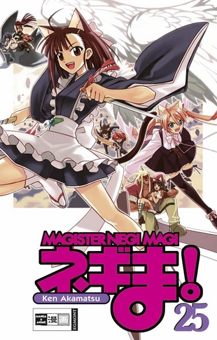 Magister Negi Magi 25 - Das Cover