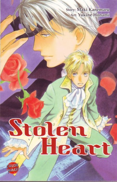 Stolen Heart - Das Cover