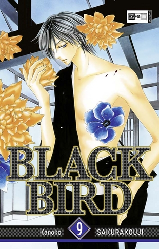 Black Bird 9 - Das Cover