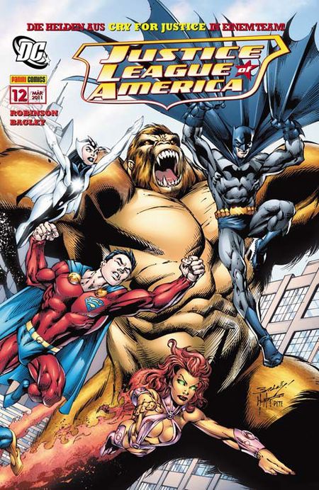Justice League of America 12: Teamwork - Das Cover