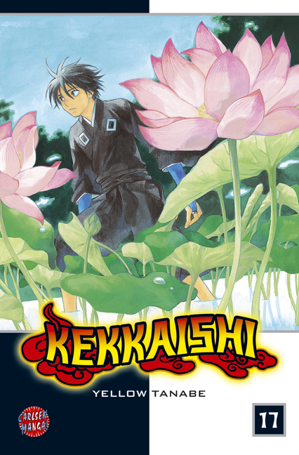 Kekkaishi 17 - Das Cover