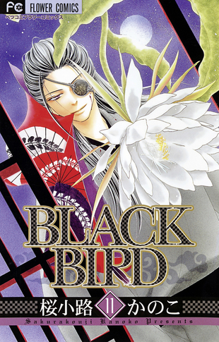 Black Bird 11 - Das Cover