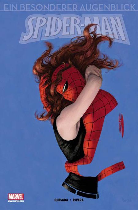 Spider-Man: Ein besonderer Augenblick - Das Cover