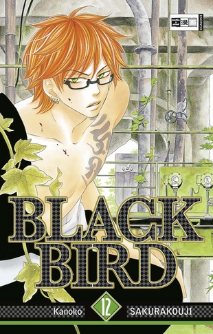 Black Bird 12 - Das Cover