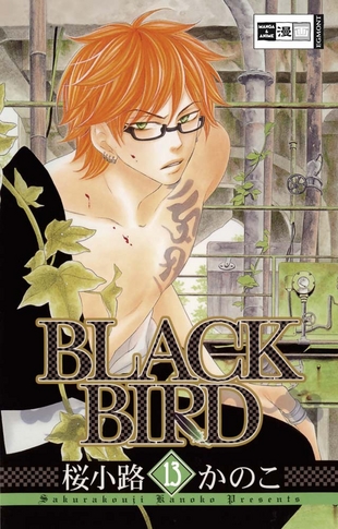 Black Bird 13 - Das Cover