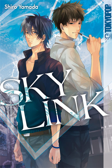 Sky Link 1 - Das Cover