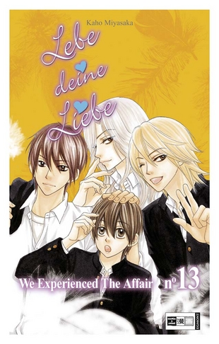 Lebe deine Liebe 13 - Das Cover