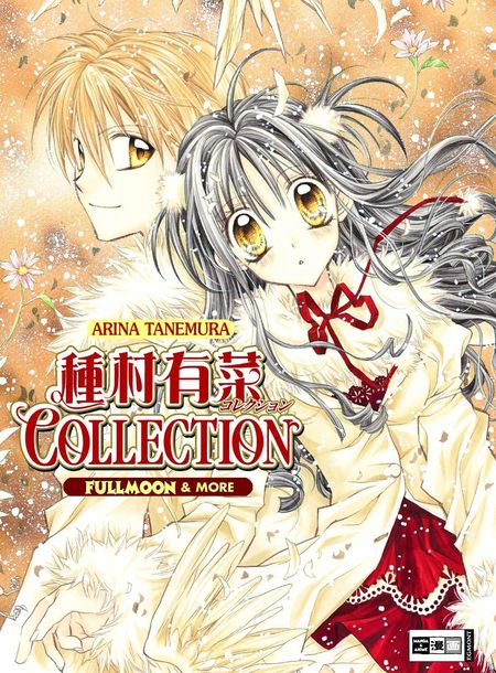 Arina Tanemura Collection - Das Cover