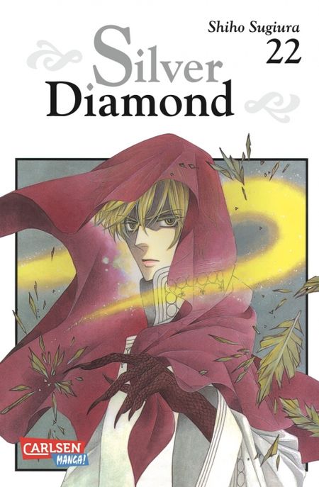 Silver Diamond 22 - Das Cover