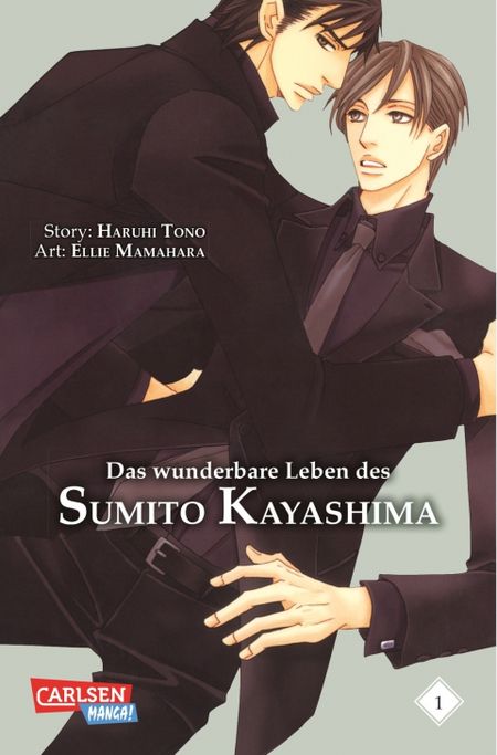 Das wunderbare Leben des Sumito Kayashima 1 - Das Cover