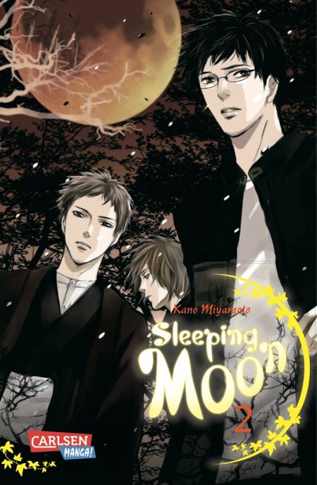 Sleeping Moon 2 - Das Cover