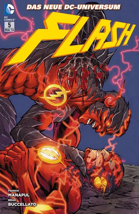 Flash 5  - Das Cover