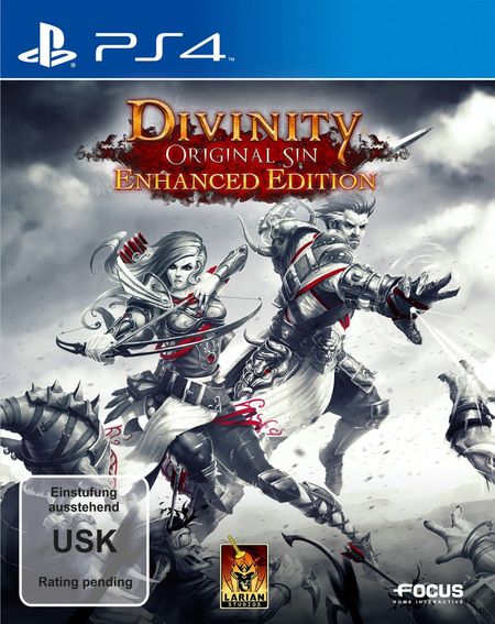 Divinity Original Sin: Enhanced Edition (PS4) - Der Packshot