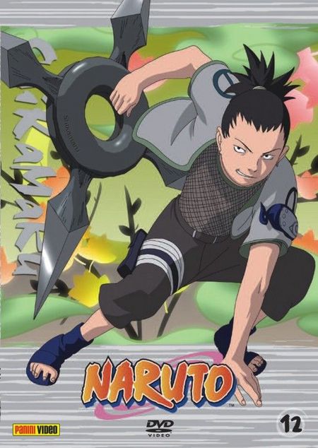 Naruto 12 (Anime) - Das Cover