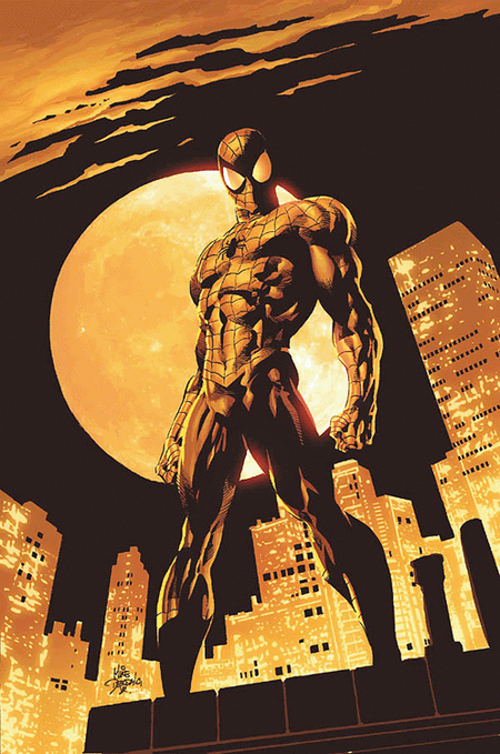 Im Netz von Spider-Man 2 - Das Cover