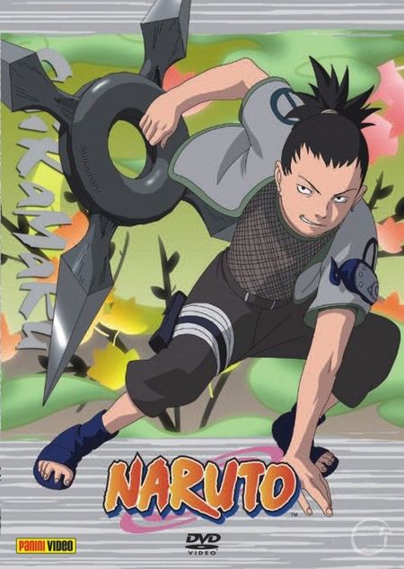 Naruto 15 (Anime) - Das Cover