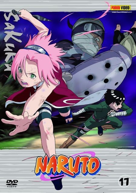 Naruto 17 (Anime) - Das Cover