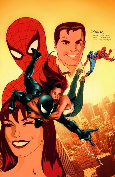 Im Netz von Spider-Man 13 - Das Cover