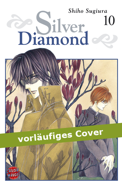 Silver Diamond 10 - Das Cover