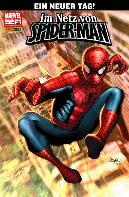 Im Netz von Spider-Man 15 - Das Cover