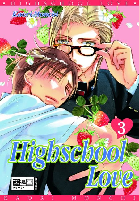 Highschool Love 3 - Das Cover