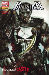 Hier klicken, um das Cover von Punisher 3: Frankencastle zu vergrößern