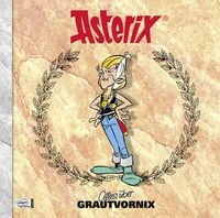 Hier klicken, um das Cover von Asterix Characterbooks 3: Alles ue~ber Grautvornix zu vergrößern