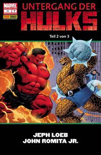 Hier klicken, um das Cover von Hulk  7: Untergang der Hulks 2 (von 3) zu vergrößern