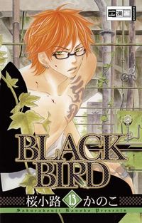 Hier klicken, um das Cover von Black Bird 13 zu vergrößern