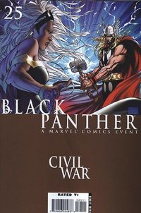 Hier klicken, um das Cover von X-Men Sonderheft 15: Storm & Black Panther 2 - Civil War zu vergrößern