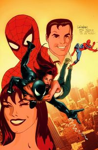 Hier klicken, um das Cover von Im Netz von Spider-Man 13 zu vergrößern