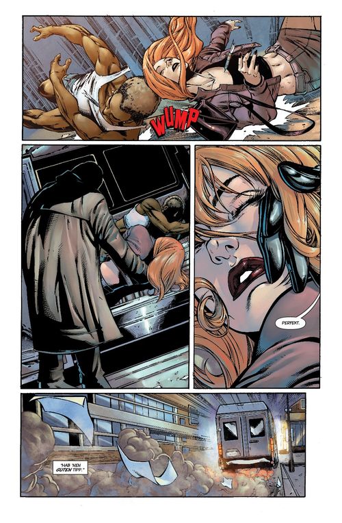 Leseprobe aus Catwoman 2 Leseprobe Seite 13