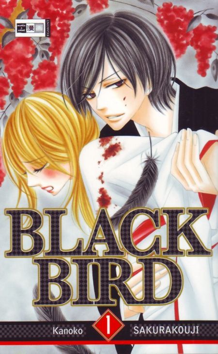 Black Bird 1 - Das Cover