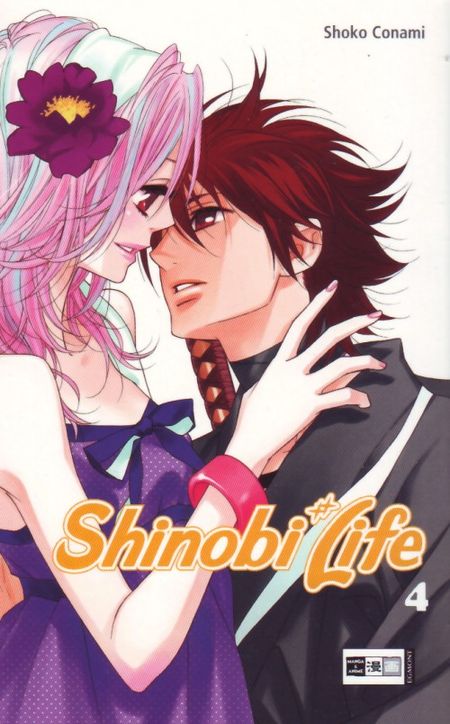 Shinobi Life 4 - Das Cover