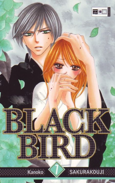 Black Bird 7 - Das Cover