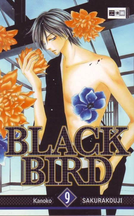 Black Bird 9 - Das Cover
