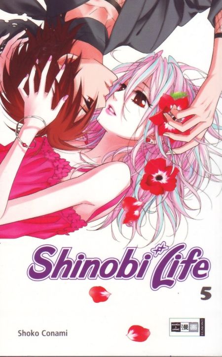 Shinobi Life 5 - Das Cover