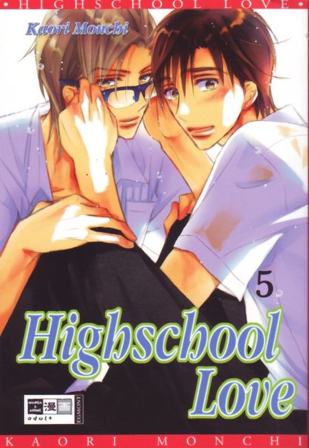 Highschool Love 5 - Das Cover