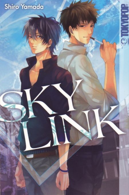 Sky Link 1 - Das Cover