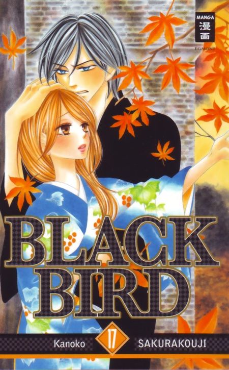 Black Bird 17 - Das Cover