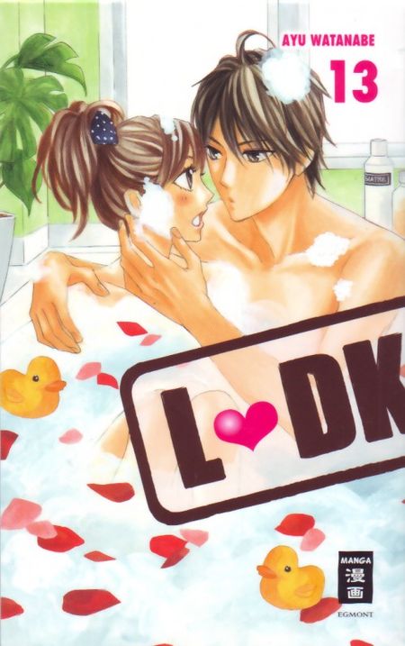 L-DK 13 - Das Cover
