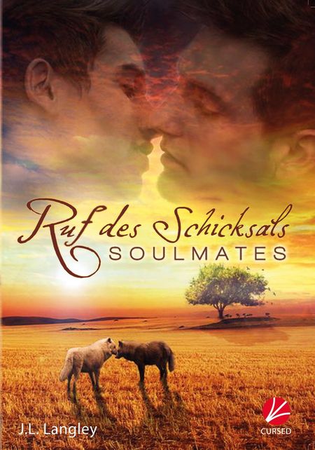 Soulmates – Ruf des Schicksals - Das Cover