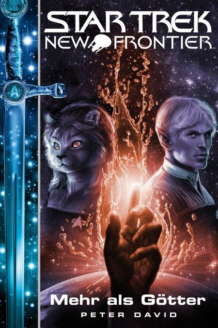 Star Trek - New Frontier 12: Mehr als Götter - Das Cover