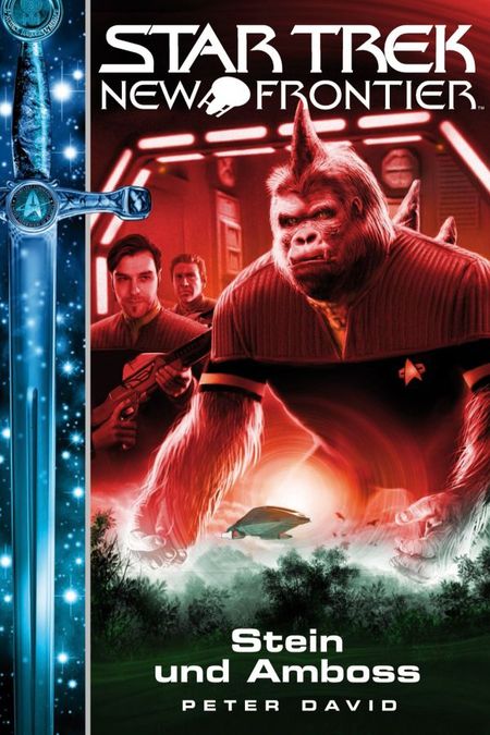 Star Trek - New Frontier 13: Stein und Amboss - Das Cover